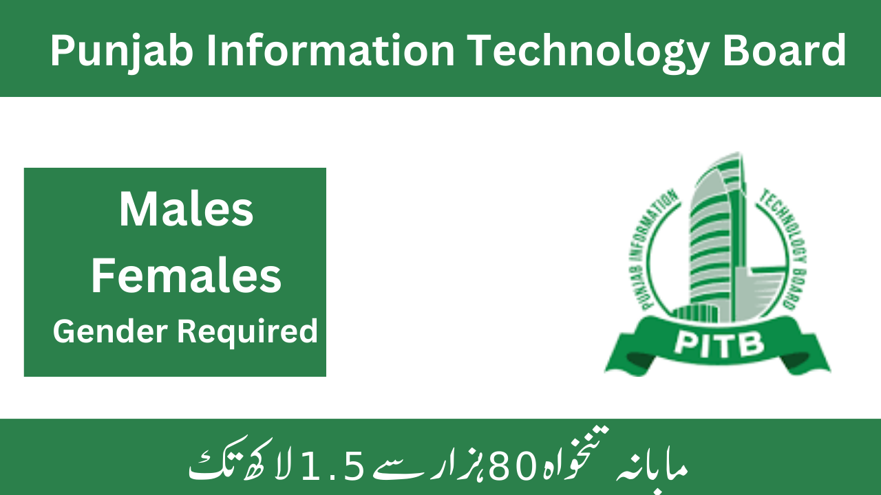 Punjab-Information-Technology-Board.png