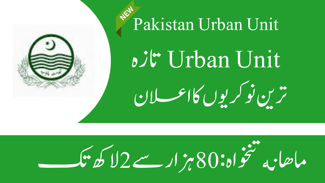 Punjab Government Urban Unit Jobs 2024